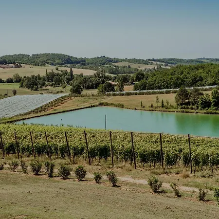Maison De Caractere, Vue Sur Prive Et Vignes * Cazes-Mondenard